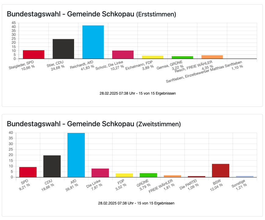 Wahlergebnisse Bundestagswahl 2025 in Schkopau